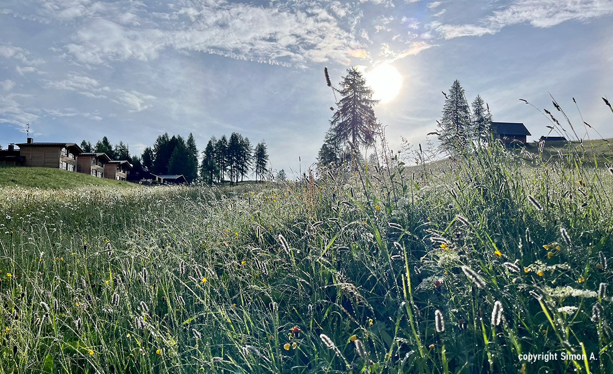 Die schönsten Chalets und Hütten in Italien: Ein Traumurlaub in der Natur
